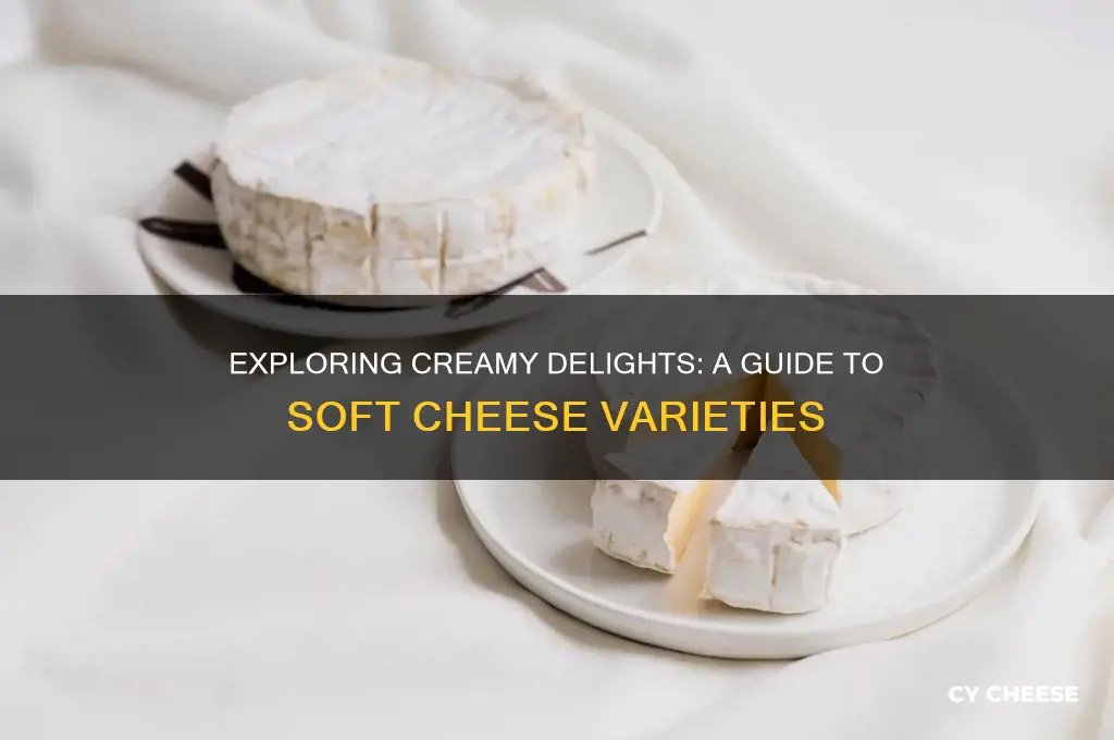 what are some soft cheeses