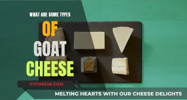 Exploring the World of Goat Cheese Varieties