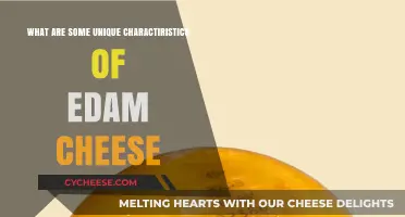 Exploring Edam Cheese: Unique Texture, Flavor, and Wax Coating