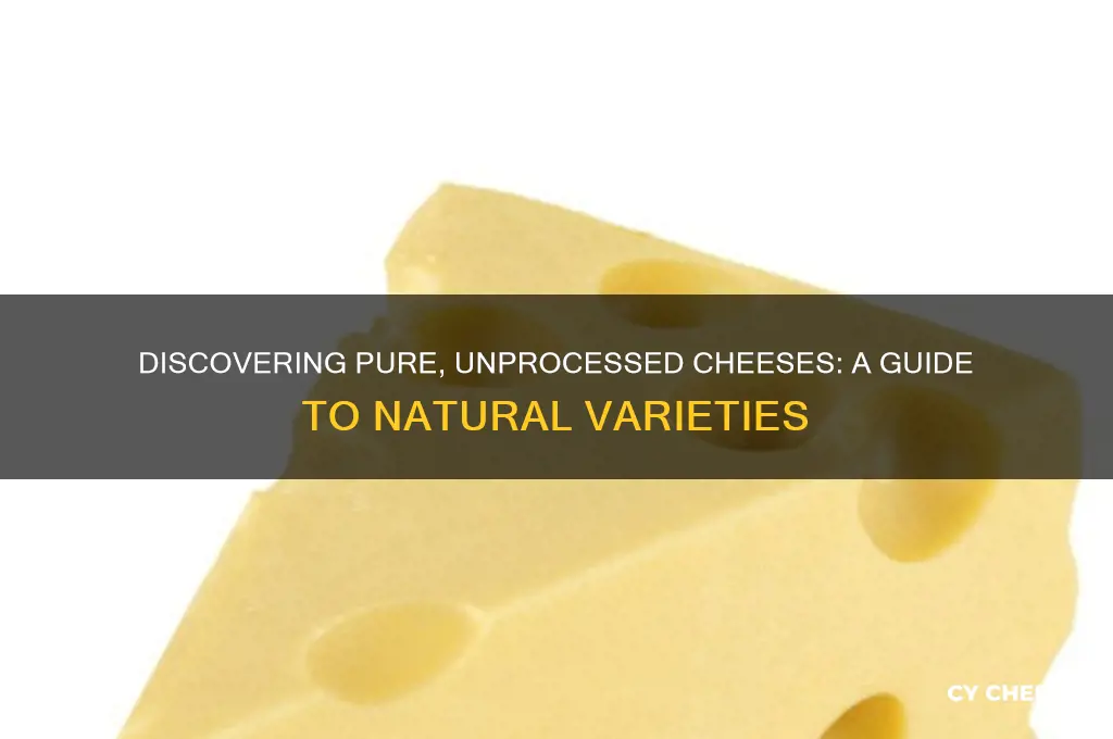 what are some unprocessed cheeses