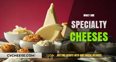 Exploring the World of Specialty Cheeses: Unique Flavors and Varieties