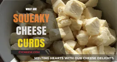 Discover the Delight of Squeaky Cheese Curds: A Tasty Treat Explained