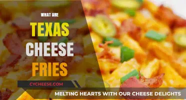 Texas Cheese Fries: A Delicious, Hearty Lone Star State Snack