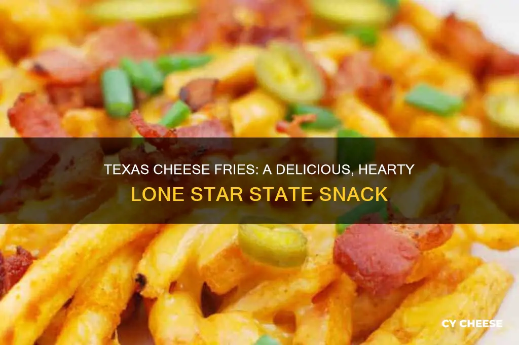 what are texas cheese fries