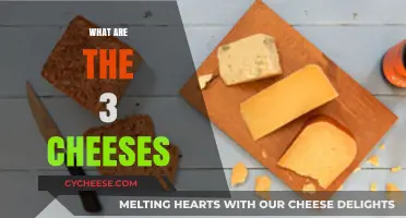 Discover the Trio: Unveiling the Three Iconic Cheeses You Must Try