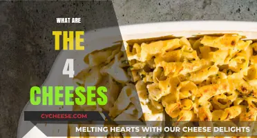 Discover the Quintessential Quartet: Unveiling the Famous Four Cheeses