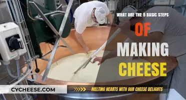 Mastering Cheese Making: 5 Essential Steps to Crafting Delicious Cheese