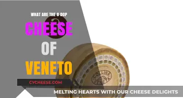 Discover Veneto's Top 8 Dop Cheeses: A Culinary Journey