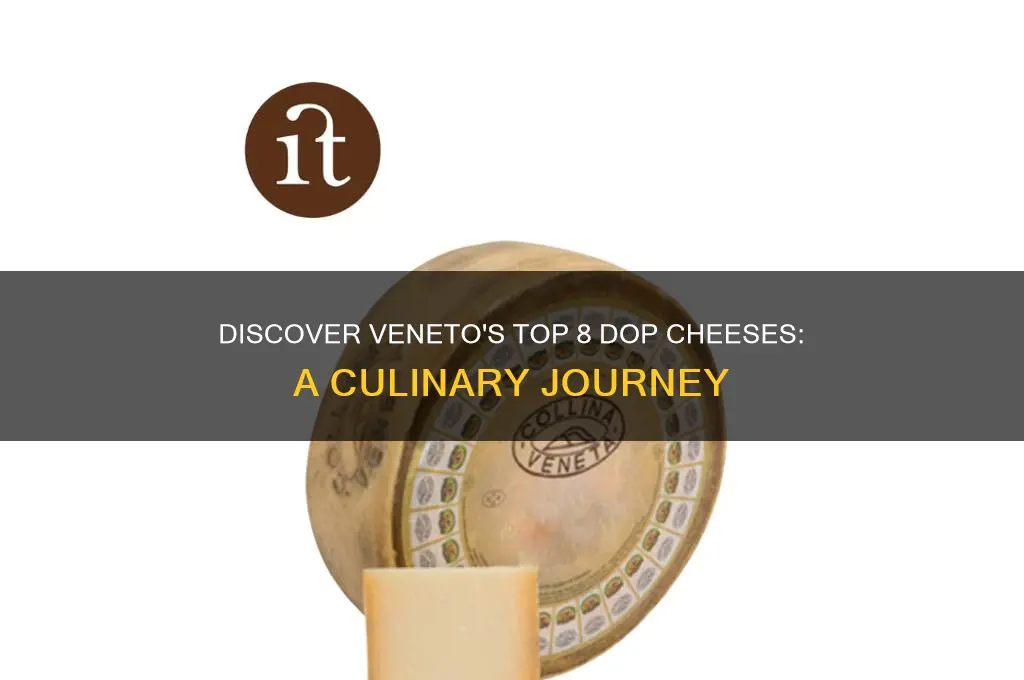 what are the 8 dop cheese of veneto