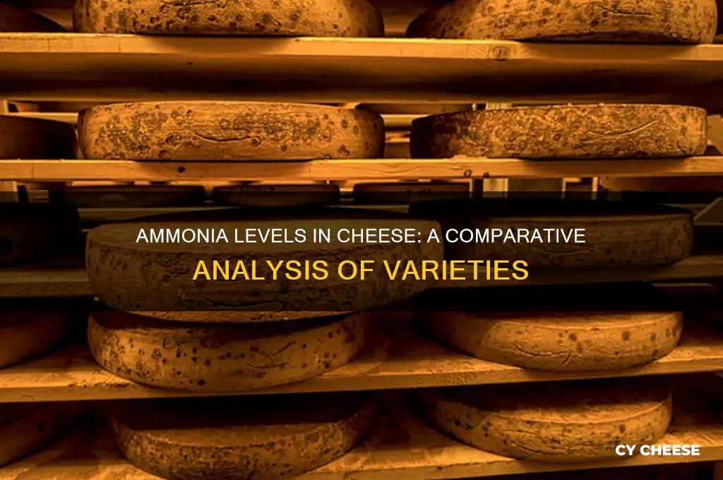 what are the ammonia levels in different cheeses