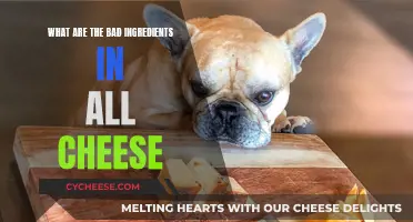 Cheese's Dark Side: Unveiling Harmful Ingredients