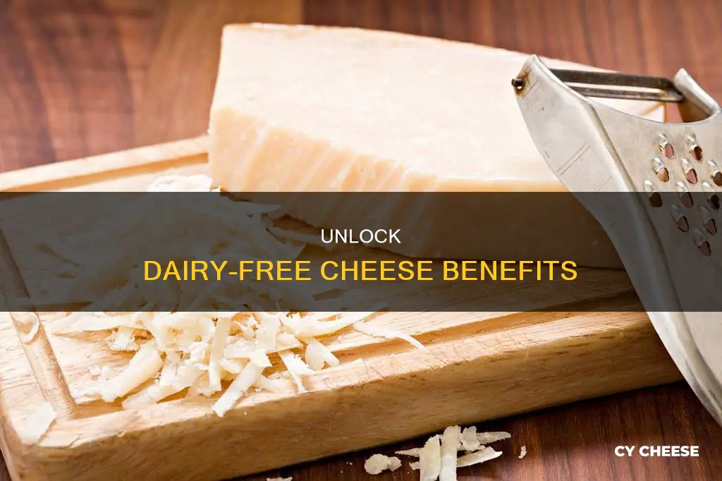 what are the benefits of dairy-free cheese