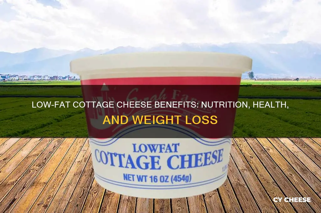 what are the benefits of low fat cottage cheese