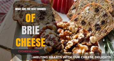 The Ultimate Brie Cheese Brands for Your Platter