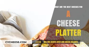 Cheese Platter Delights: Selecting the Perfect Cheeses