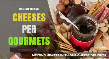 Cheese Delights: The Ultimate Gourmet Guide
