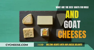 Goat Breeds for Delicious Milk and Cheese