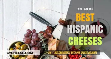 Hispanic Cheeses: Best Varieties to Try