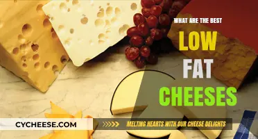 Healthy Cheeses: Best Low-Fat Options