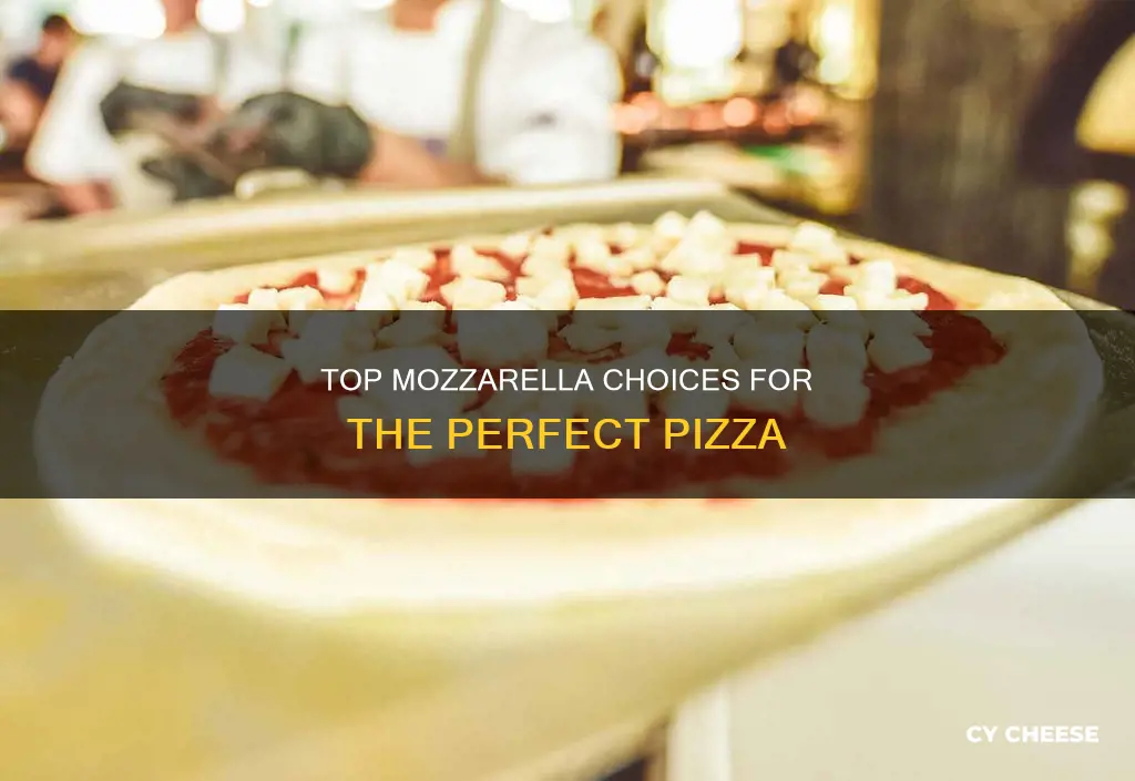 what are the best mozzarella cheeses to put on pizzas