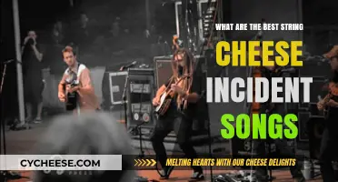 String Cheese Incident: Their Best Songs