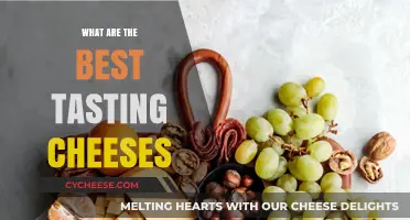 Cheeses with the Best Flavors