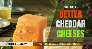 Exploring the Best Cheddar Cheeses: A Guide to the Cream of the Crop