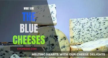 Blue Cheeses: Exploring the Rich and Pungent Varieties