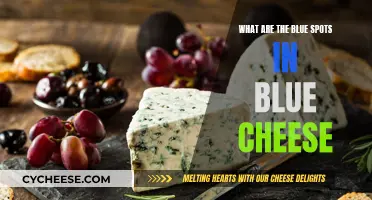 The Mystery of Blue Veins in Blue Cheese