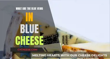 The Mystery of Blue Veins in Blue Cheese