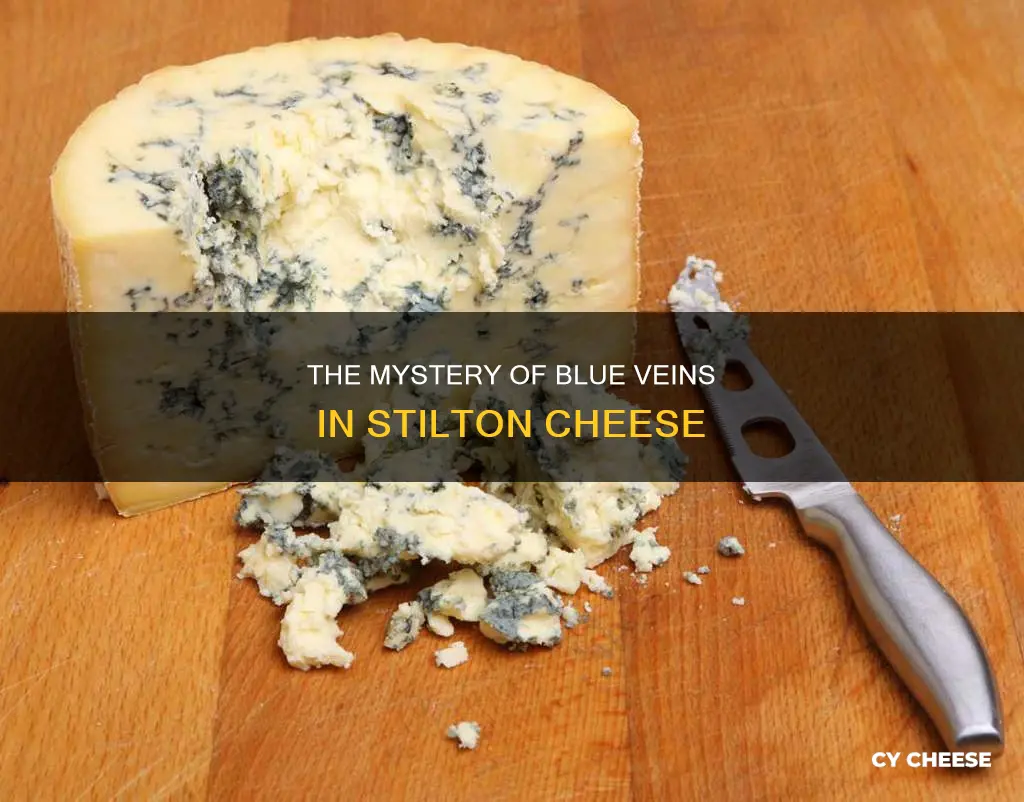 what are the blue veins in stilton cheese