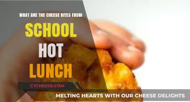 School Hot Lunch Cheese Bites: A Nostalgic Crunchy Mystery Explained