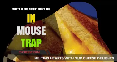 Unraveling the Mystery: Cheese Pieces in Mouse Trap Explained
