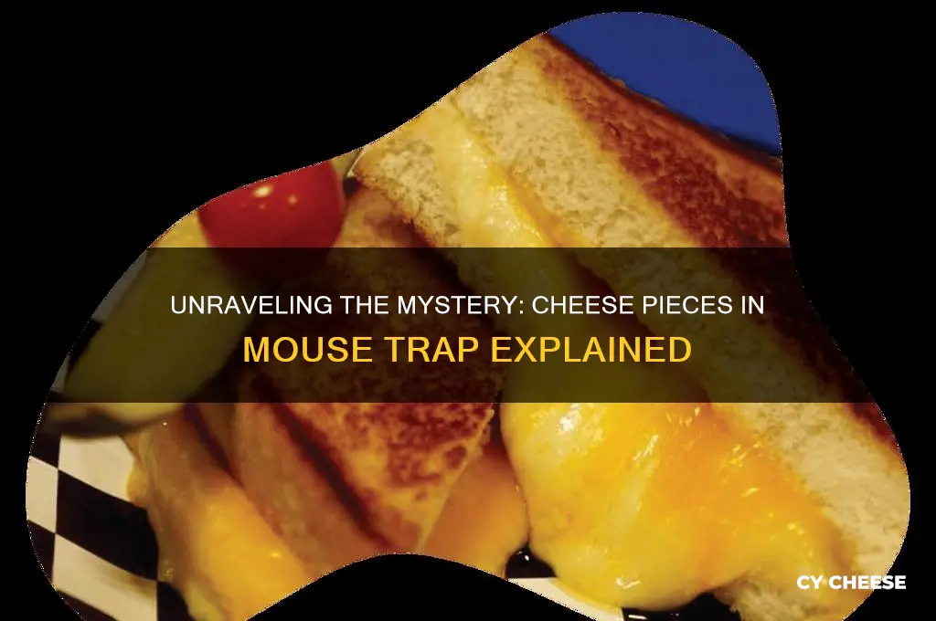 what are the cheese pieces for in mouse trap