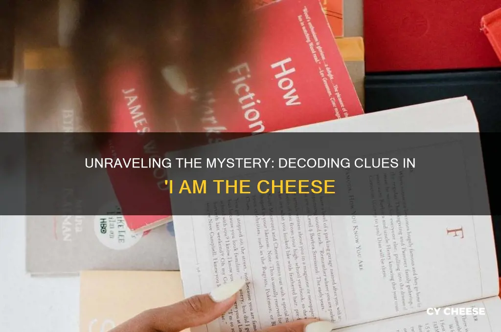 what are the clues in i am the cheese