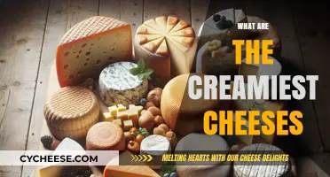 Discover the Richest, Creamiest Cheeses for Ultimate Indulgence