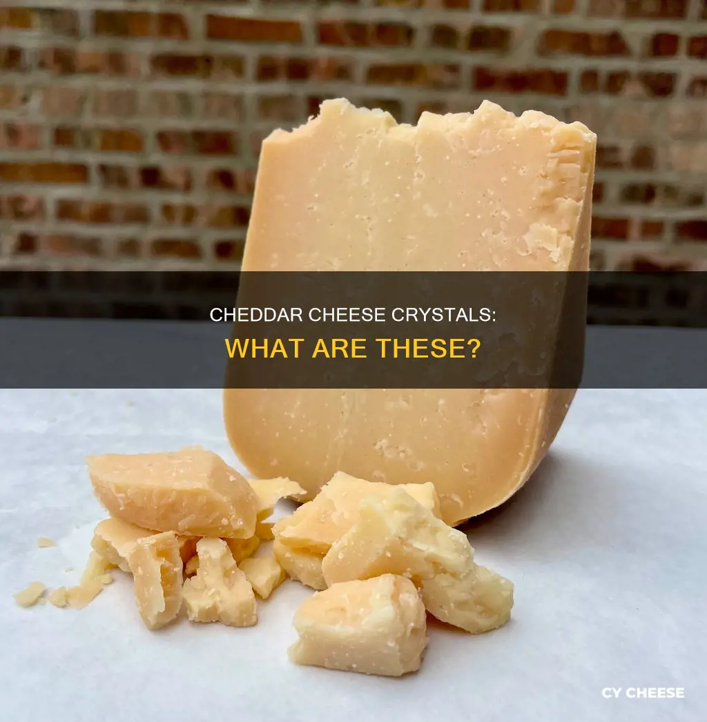 what are the crystals in aged cheddar cheese