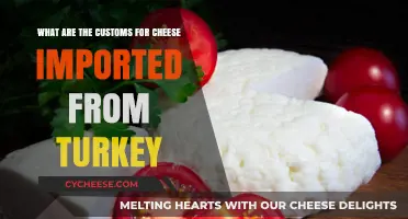 Exploring Turkish Cheese Customs: Import Regulations and Traditions
