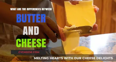 Butter vs. Cheese: Uncovering the Key Differences in Dairy Delights