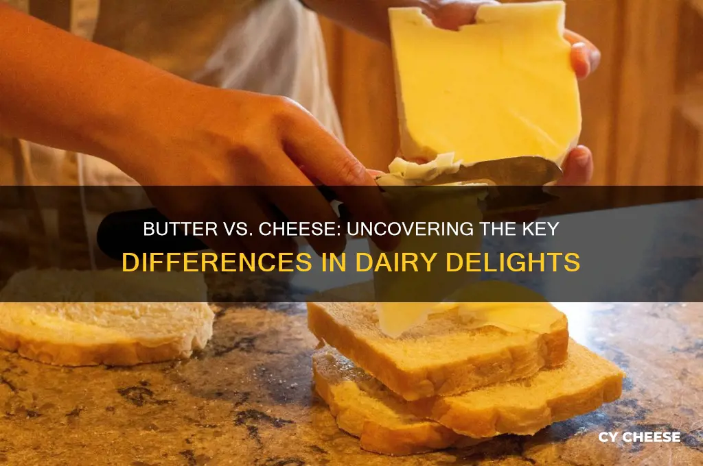 what are the differences between butter and cheese