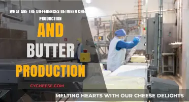 Cheese vs. Butter: Key Differences in Dairy Production Processes