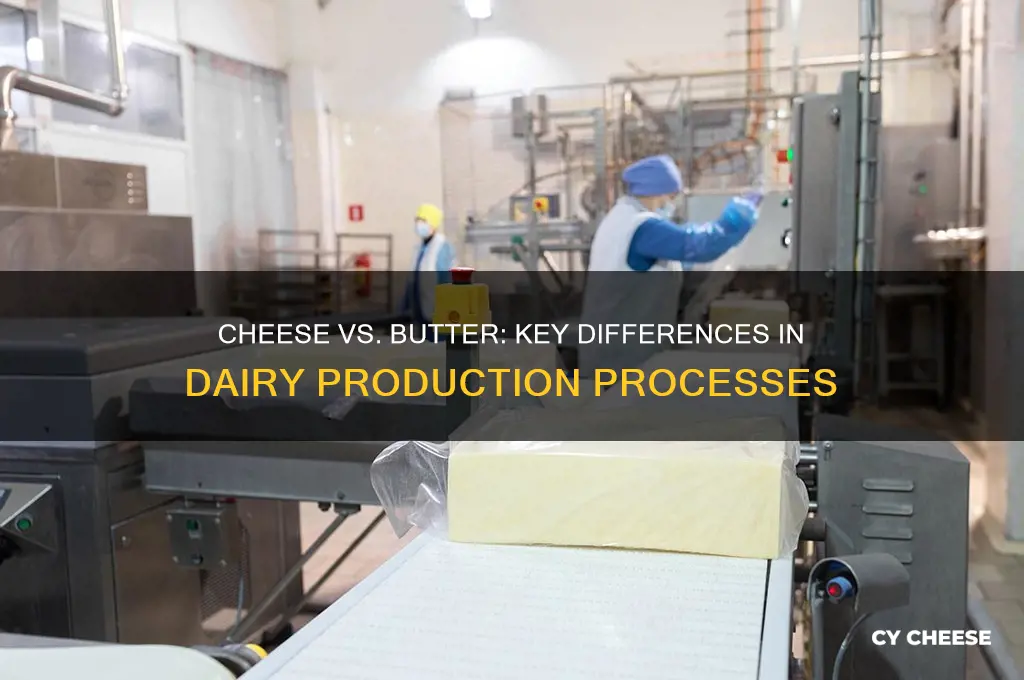 what are the differences between cheese production and butter production