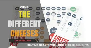 Exploring the Diverse World of Cheeses: Types, Flavors, and Uses