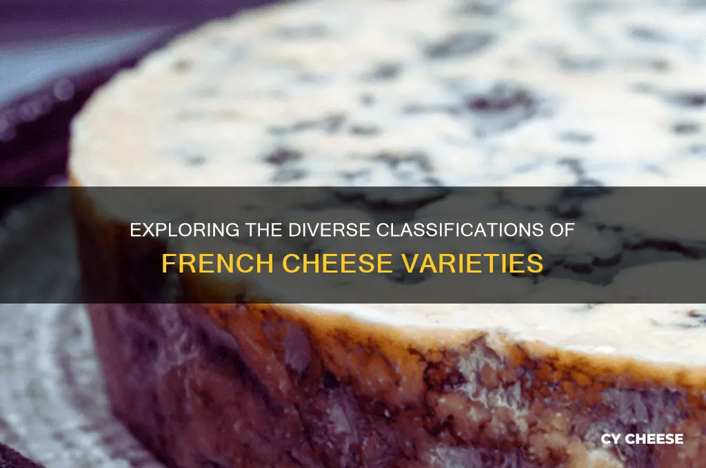 what are the different classifications of french cheese