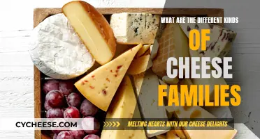 Cheese Families: Exploring the Diverse World of Cheeses