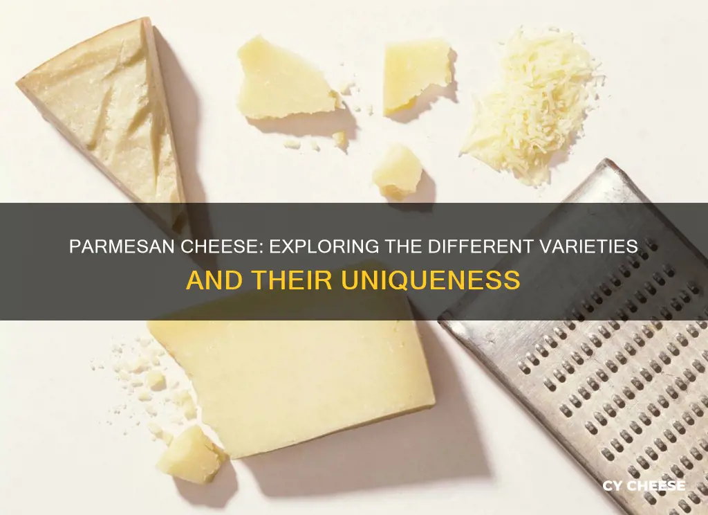 what are the different kinds of parmesan cheese