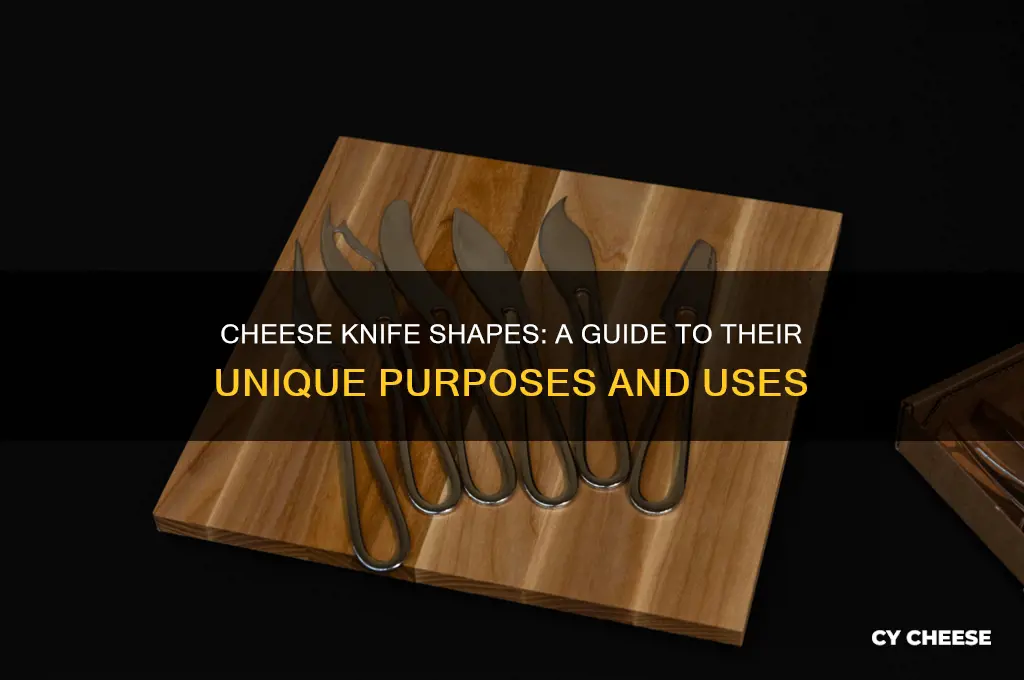 what are the different shaped cheese knives for