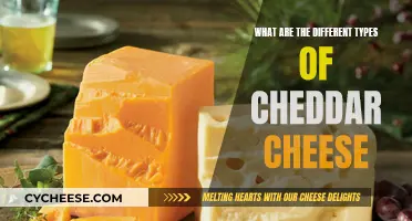 Exploring Cheddar's Diversity: From Mild to Extra Sharp