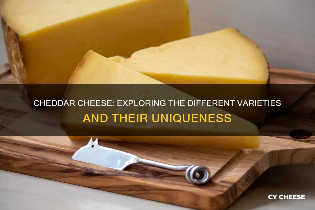 what are the different types of cheddar cheese
