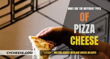 The Ultimate Guide to Pizza Cheeses